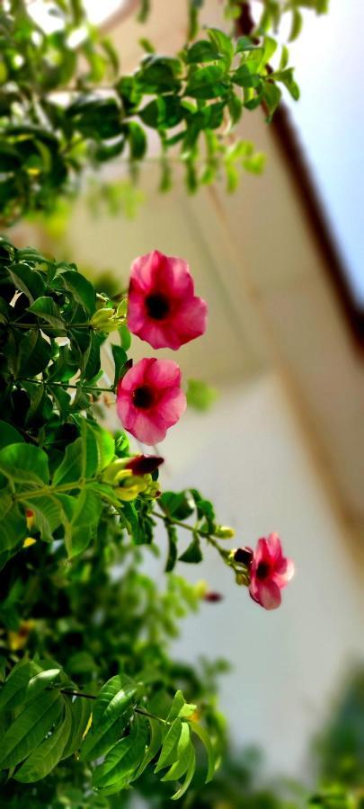Dulaa Deema Residence Brufut Heights Tranquil Bagian luar foto