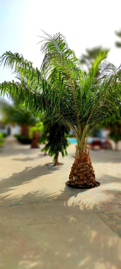 Dulaa Deema Residence Brufut Heights Tranquil Bagian luar foto